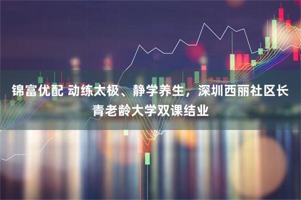 锦富优配 动练太极、静学养生，深圳西丽社区长青老龄大学双课结业