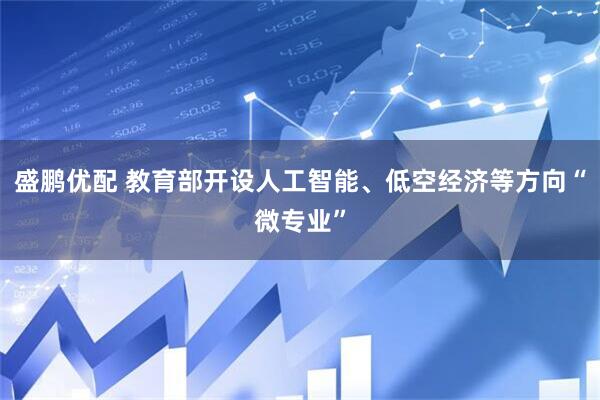 盛鹏优配 教育部开设人工智能、低空经济等方向“微专业”