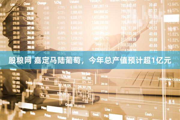 股粮网 嘉定马陆葡萄，今年总产值预计超1亿元