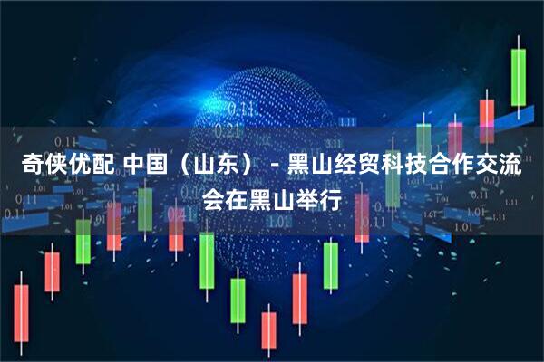 奇侠优配 中国（山东）－黑山经贸科技合作交流会在黑山举行
