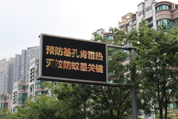 天通盈 广东佛山市新增报告基孔肯雅热确诊病例174例