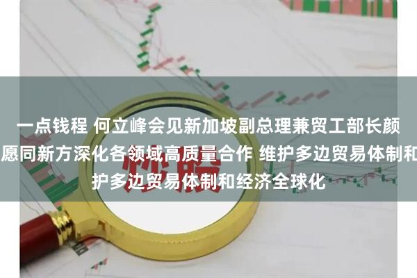 一点钱程 何立峰会见新加坡副总理兼贸工部长颜金勇时指出 愿同新方深化各领域高质量合作 维护多边贸易体制和经济全球化