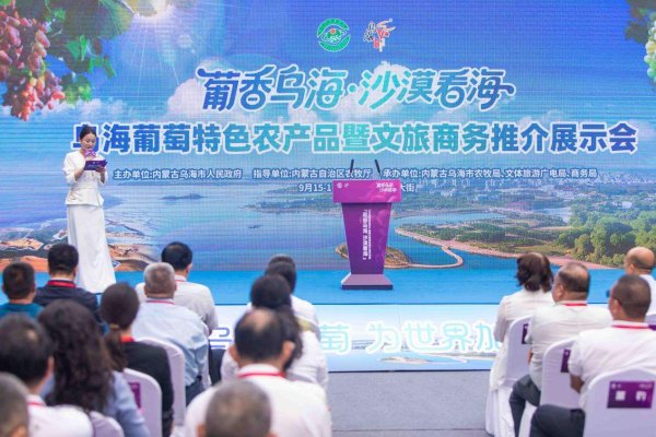 赢金配资 乌海葡萄进京城