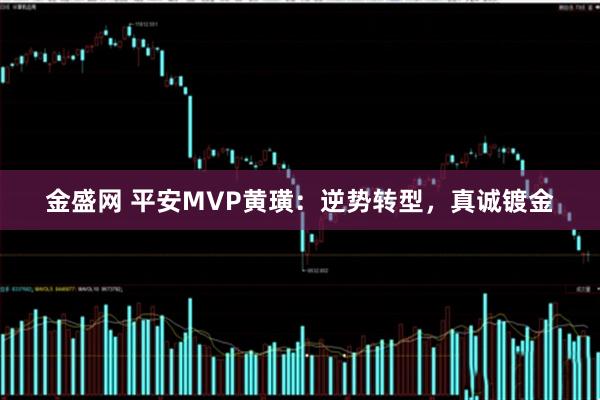 金盛网 平安MVP黄璜：逆势转型，真诚镀金